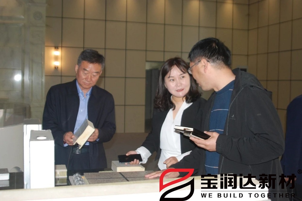 龍蟒佰利聯(lián)集團(tuán)董事長(zhǎng)一行來訪寶潤達(dá)