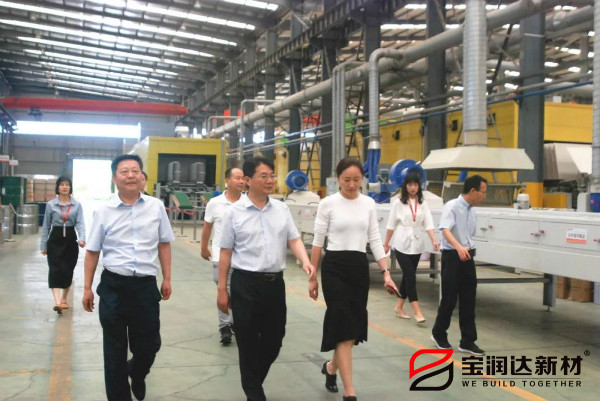 省廳融合處李翔處長(zhǎng)一行來(lái)訪寶潤(rùn)達(dá)參觀考察
