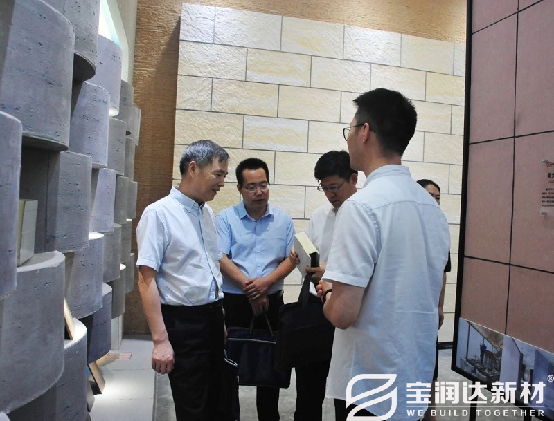 河南省商務(wù)廳領(lǐng)導(dǎo)參觀寶潤達節(jié)能板材